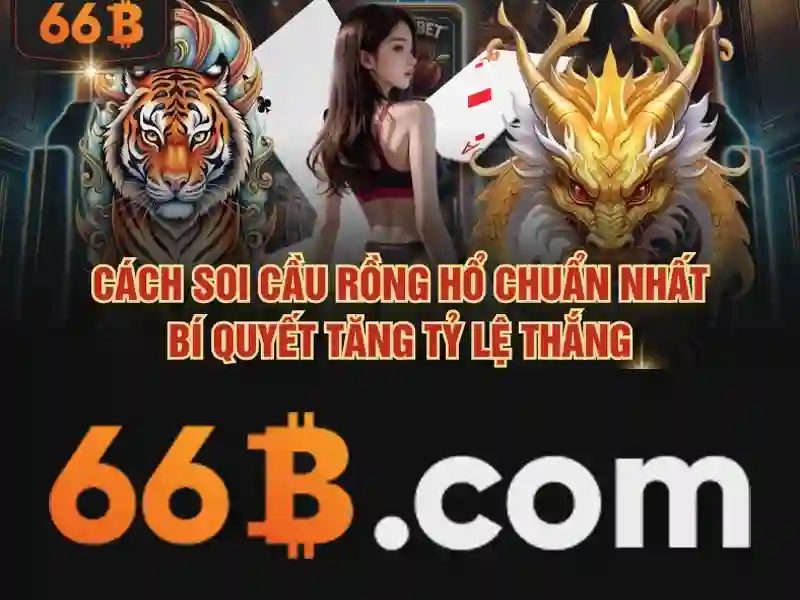 Hiệu suất và ứng dụng\n