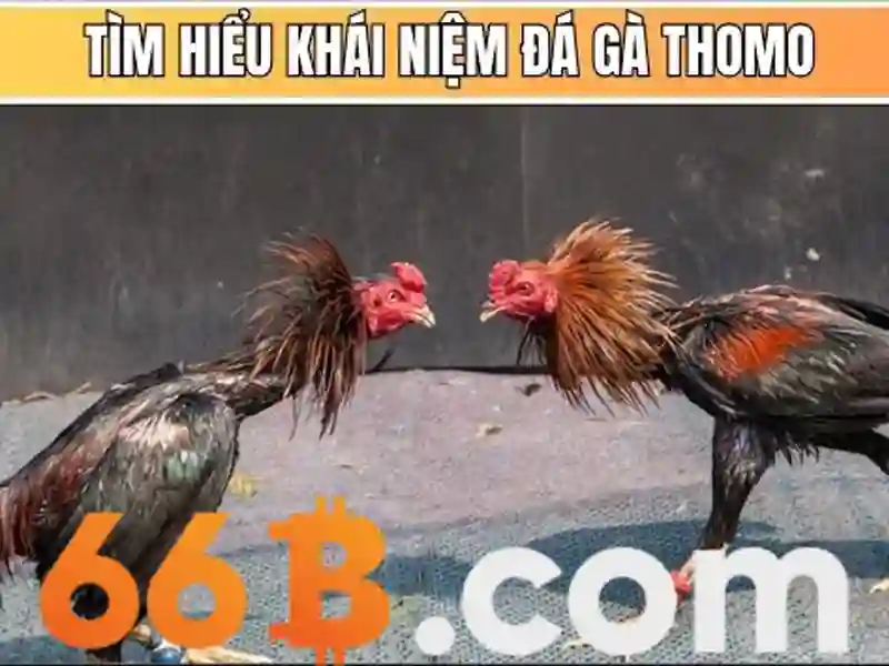 Nguon goc va su men cua 66b dang nhap