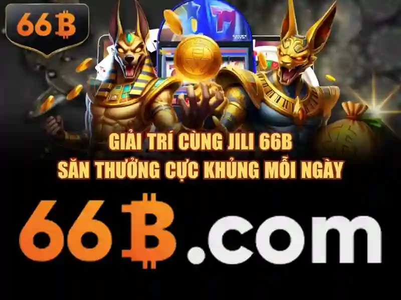 66b là gì?