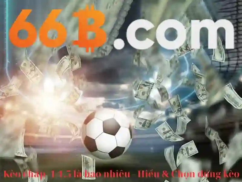 Giao diện nhà cái hoàn hảo