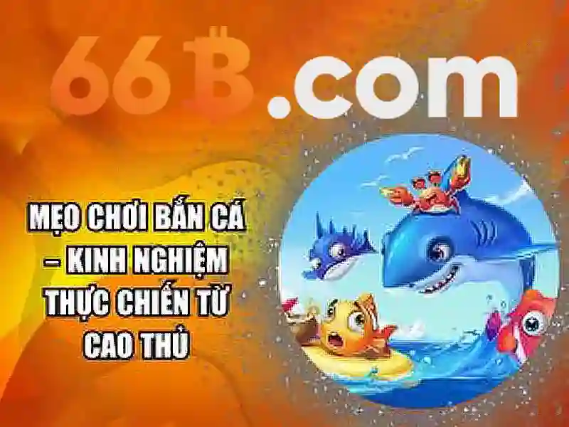 các sản phẩm và dịch vụ quanh 66b