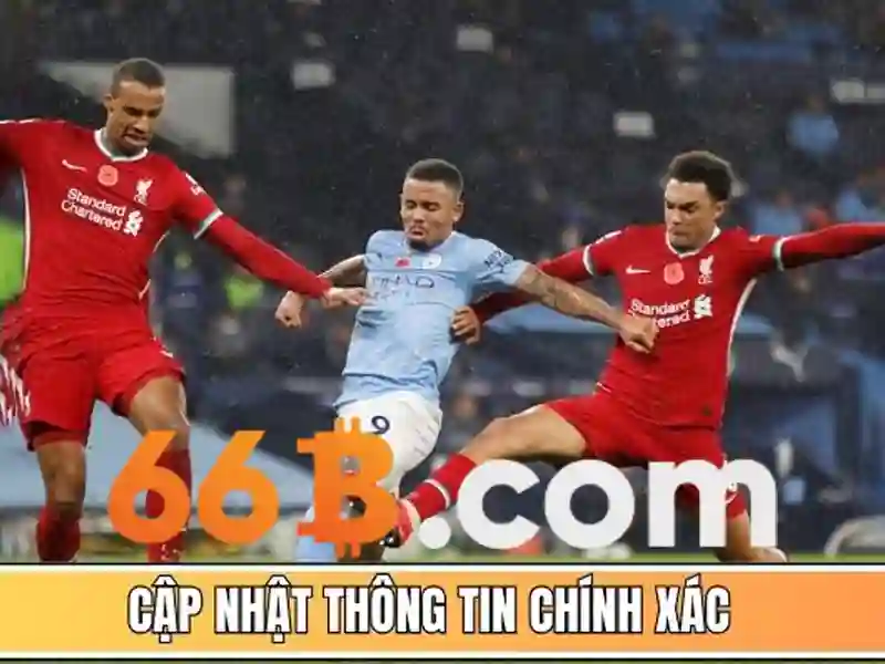 Trải nghiệm người dùng và phản hồi từ cộng đồng