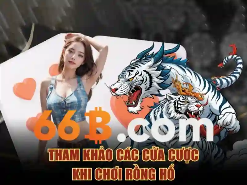 66b và những ý nghĩa ban đầu