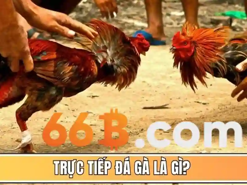 66b trong trí tuệ nhân tạo: một cái nhìn tổng quan Giao diện nhà cái hoàn hảo