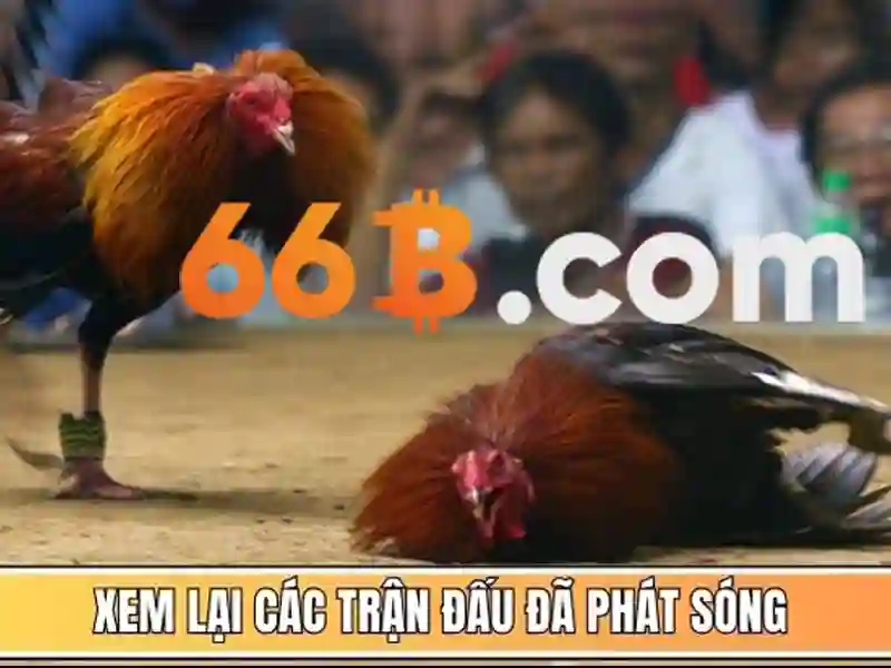 66B - Mô hình ngôn ngữ lớn