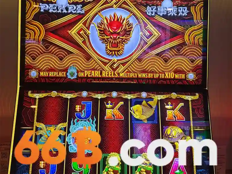 Giới thiệu về 66B\n\n