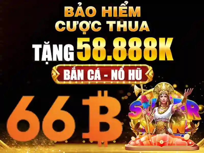 Giới thiệu về 66B