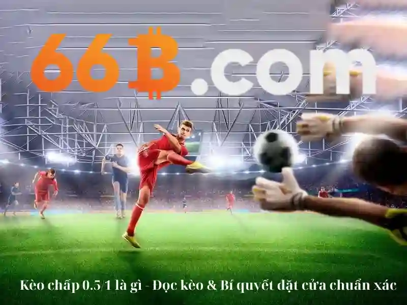 stevens 66b – Tổng quan và Giá trị cốt lõi